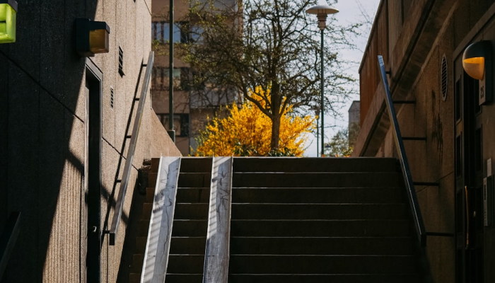 实测教程”多乐山东麻将如何开挂”其实确实有挂