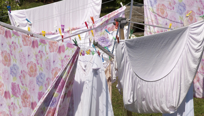 实测教程”洋洋挖花确实有挂”(透视)其实确实有挂