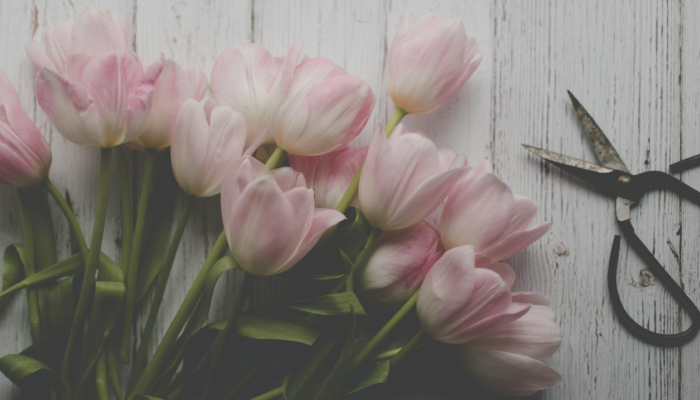 万能开挂辅助“花花生活圈外卦神器”(透视)其实确实有挂