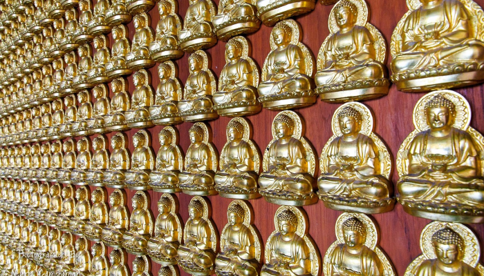 实测教程”云南山水麻将开挂多少钱”(透视)其实确实有挂