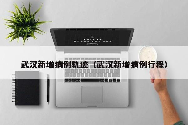 武汉新增病例轨迹(武汉新增病例行程)