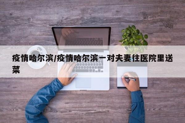 疫情哈尔滨/疫情哈尔滨一对夫妻往医院里送菜