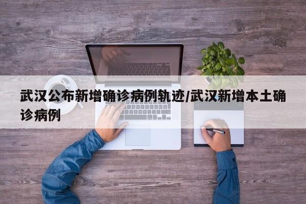 武汉公布新增确诊病例轨迹/武汉新增本土确诊病例